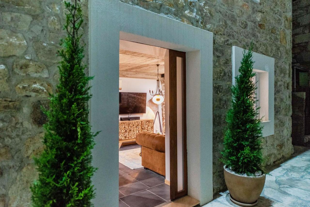 Villa Planita Dalmacija Novigrad  Екстериор снимка